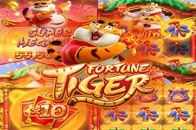 48x bet