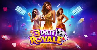 48x bet